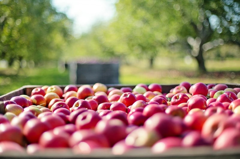 Air Orchards